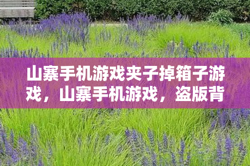 山寨手机游戏夹子掉箱子游戏图片