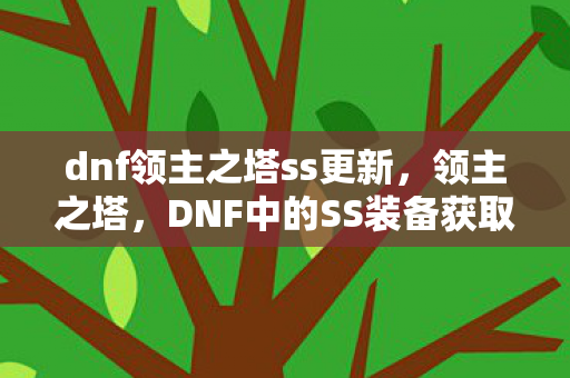 DNF中的SS装备获取圣地图片