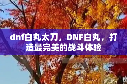 打造最完美的战斗体验图片