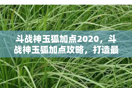 斗战神玉狐加点2020，斗战神玉狐加点攻略，打造最强输出角色