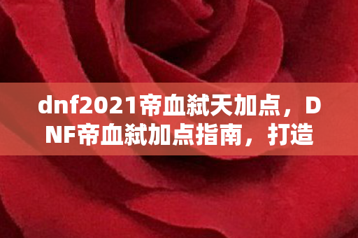 dnf2021帝血弑天加点图片