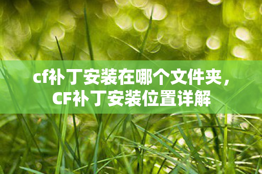 cf补丁安装在哪个文件夹图片