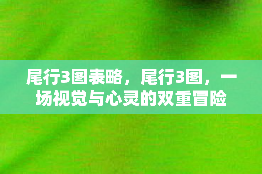 尾行3图表略,尾行3图,一场视觉与心灵的双重冒险 尾行3图表略,尾行3图,一场视觉与心灵的双重冒险