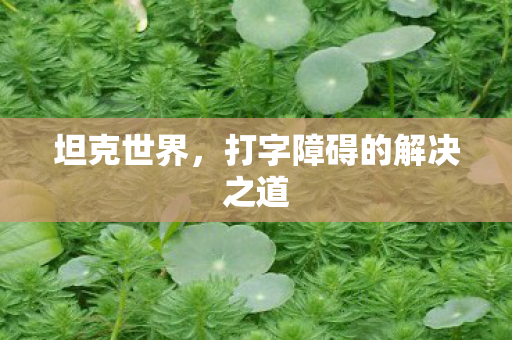 坦克世界,打字障碍的解决之道 坦克世界,打字障碍的解决之道