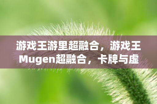 游戏王游里超融合，游戏王Mugen超融合，卡牌与虚拟世界的奇妙碰撞