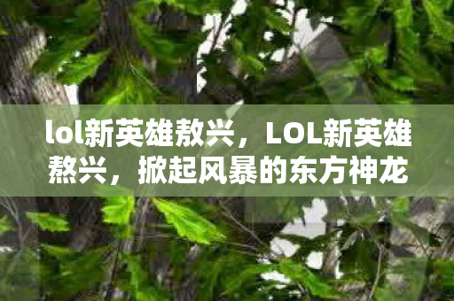 lol新英雄敖兴，LOL新英雄熬兴，掀起风暴的东方神龙