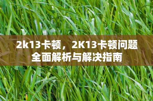 2K13卡顿问题全面解析与解决指南图片