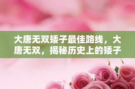 大唐无双矮子最佳路线图片