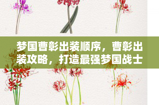 梦国曹彰出装顺序图片