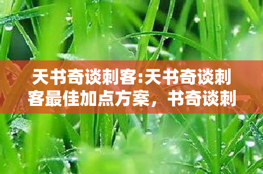 天书奇谈刺客:天书奇谈刺客最佳加点方案,书奇谈刺客攻略,成为隐秘杀手的艺术 天书奇谈刺客:天书奇谈刺客最佳加点方案,书奇谈刺客攻略,成为隐秘杀手的艺术