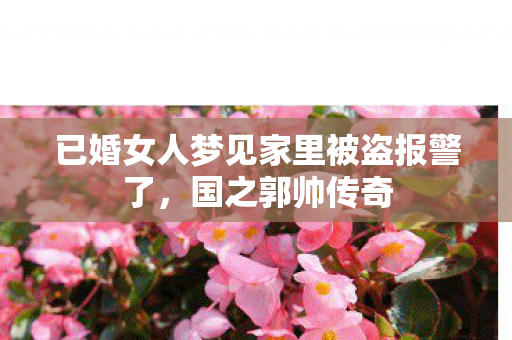 已婚女人梦见家里被盗报警了图片