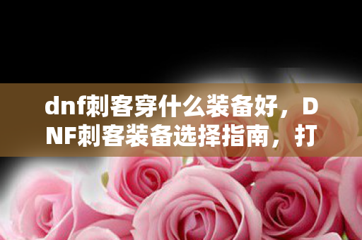 dnf刺客穿什么装备好图片