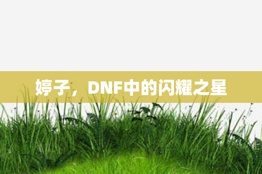 婷子，DNF中的闪耀之星