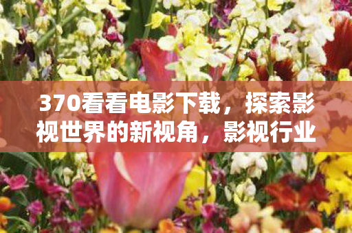 370看看电影下载，探索影视世界的新视角，影视行业的新变化与未来趋势—以370看看影视为例
