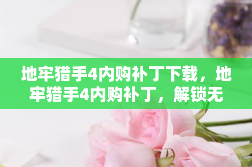 地牢猎手4内购补丁下载图片