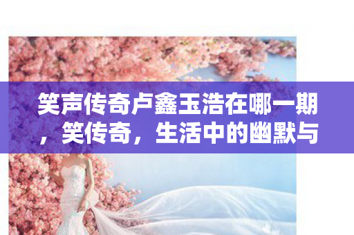 笑声传奇卢鑫玉浩在哪一期图片