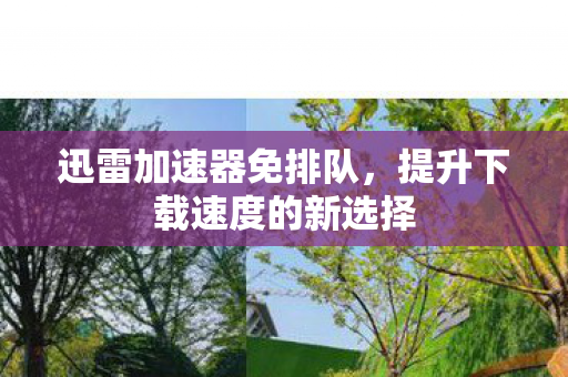 提升下载速度的新选择图片