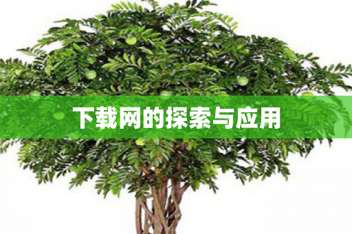 下载网的探索与应用
