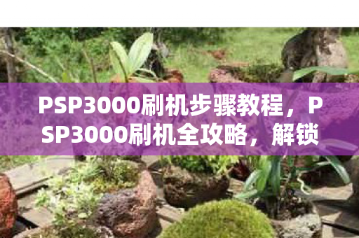 PSP3000刷机步骤教程图片