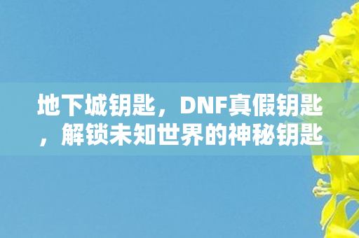 地下城钥匙，DNF真假钥匙，解锁未知世界的神秘钥匙