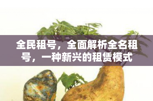 全民租号，全面解析全名租号，一种新兴的租赁模式