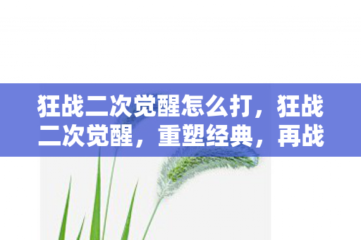 狂战二次觉醒怎么打图片