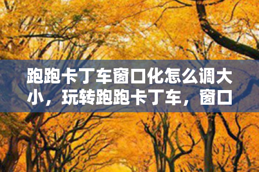 跑跑卡丁车窗口化怎么调大小图片