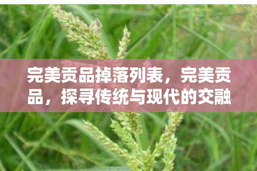 完美贡品掉落列表，完美贡品，探寻传统与现代的交融之美