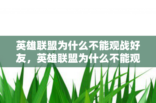 英雄联盟为什么不能观战好友图片