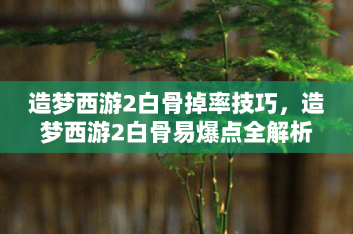 造梦西游2白骨易爆点全解析图片