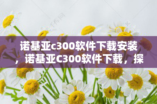 诺基亚c300软件下载安装图片