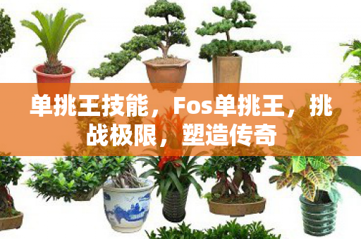 Fos单挑王图片