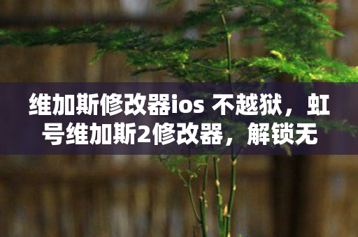 维加斯修改器ios 不越狱图片