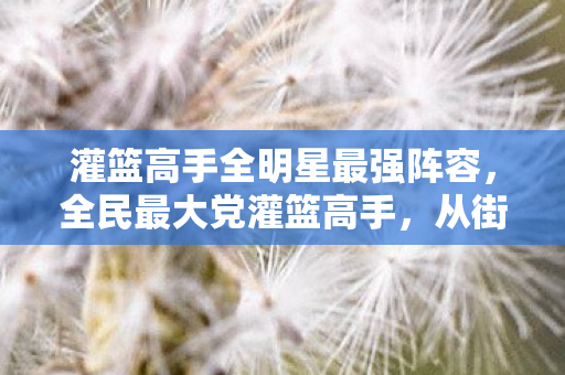 灌篮高手全明星最强阵容图片