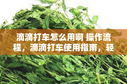 滴滴打车怎么用啊 操作流程图片