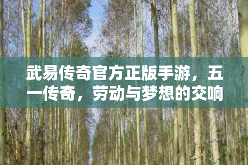 武易传奇官方正版手游图片