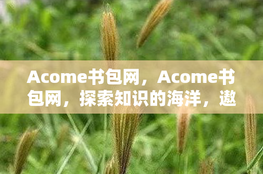 Acome书包网图片