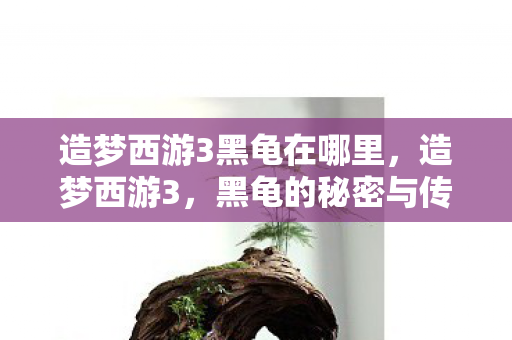 造梦西游3黑龟在哪里图片