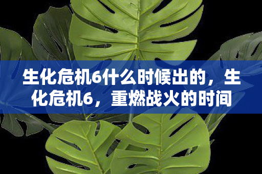 生化危机6什么时候出的图片