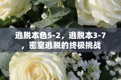 密室逃脱的终极挑战图片