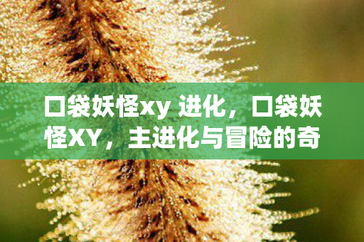 主进化与冒险的奇妙之旅图片