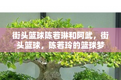 街头篮球陈若琳和阿武图片