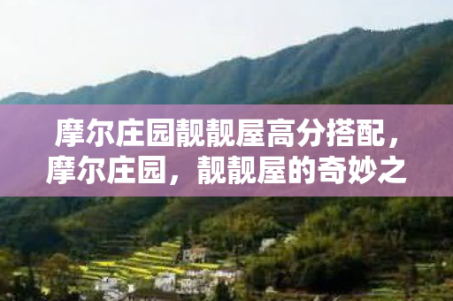 摩尔庄园靓靓屋高分搭配图片