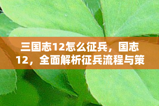 全面解析征兵流程与策略图片