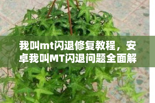 安卓我叫MT闪退问题全面解析与解决攻略图片