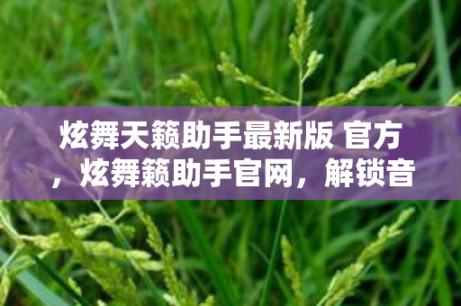 炫舞天籁助手最新版 官方图片