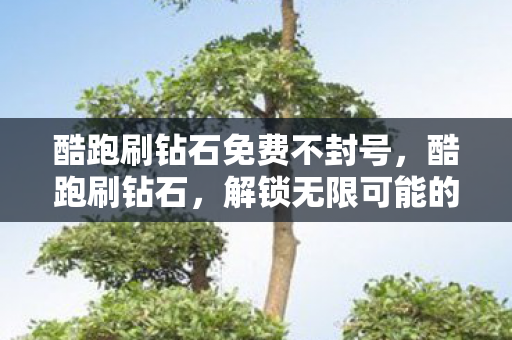 酷跑刷钻石免费不封号图片