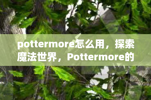 Pottermore的奇妙之旅图片