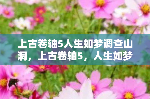 上古卷轴5人生如梦调查山洞图片