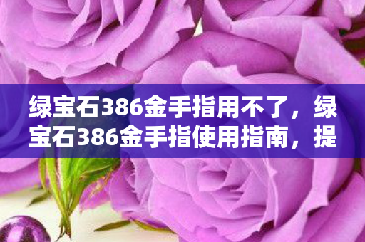 绿宝石386金手指使用指南图片